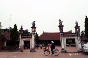 Đường Lâm - Hoa Chio